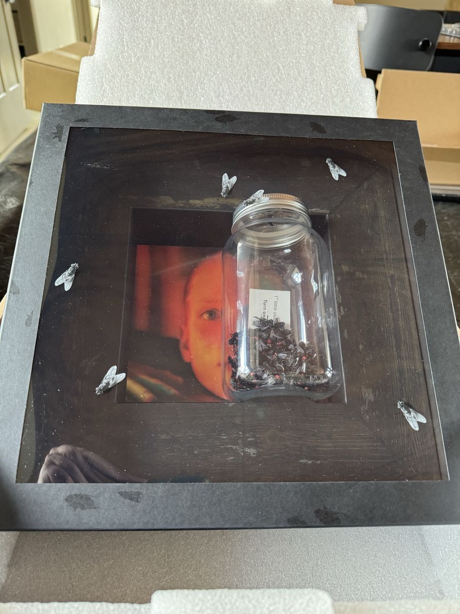 Alice In Chains Jar Of Flies Deluxe Box Set.