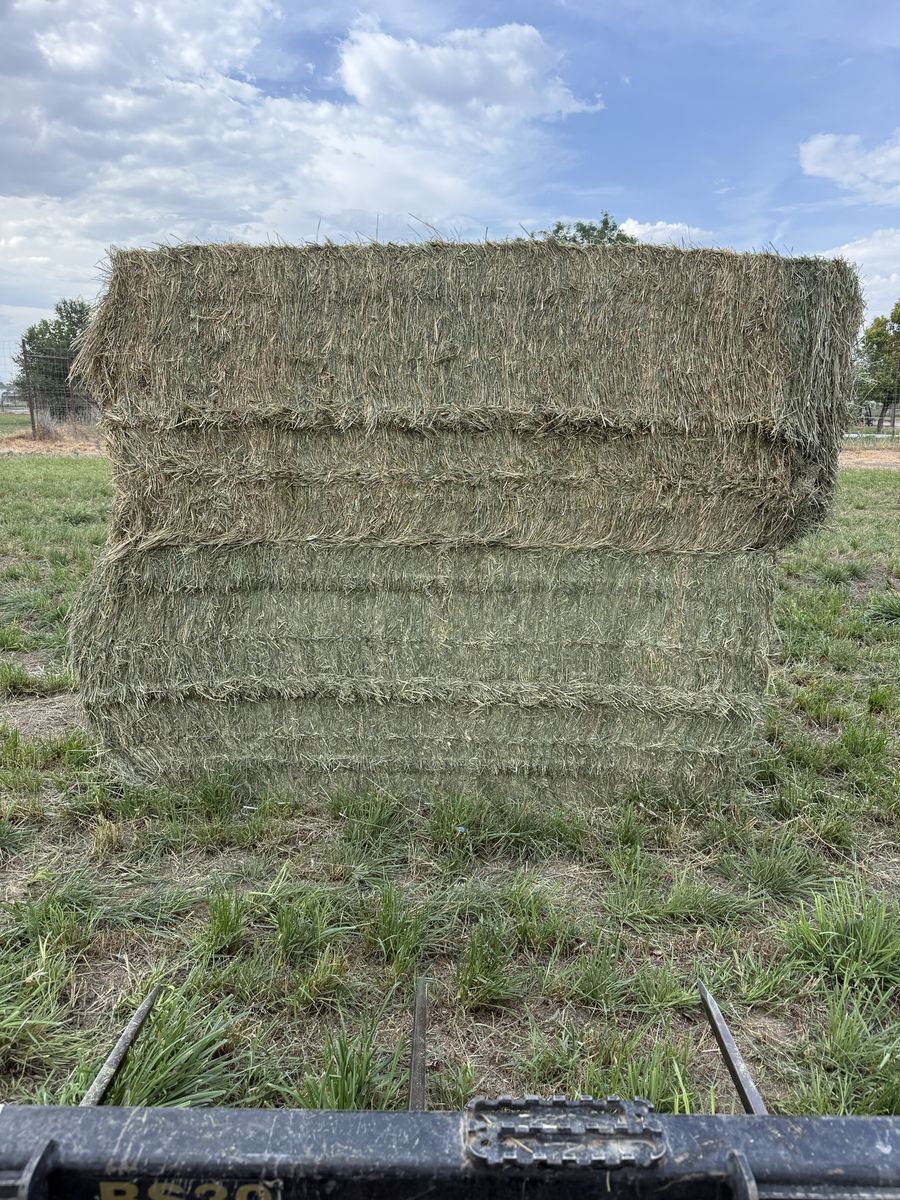 Quality Grass 