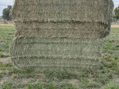 Quality Grass