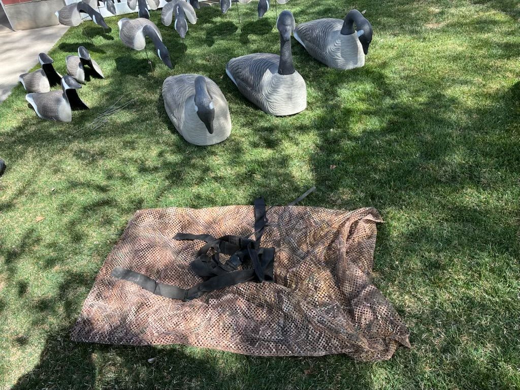 Goose Decoys