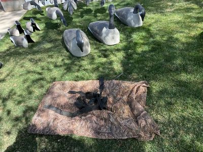 Goose Decoys