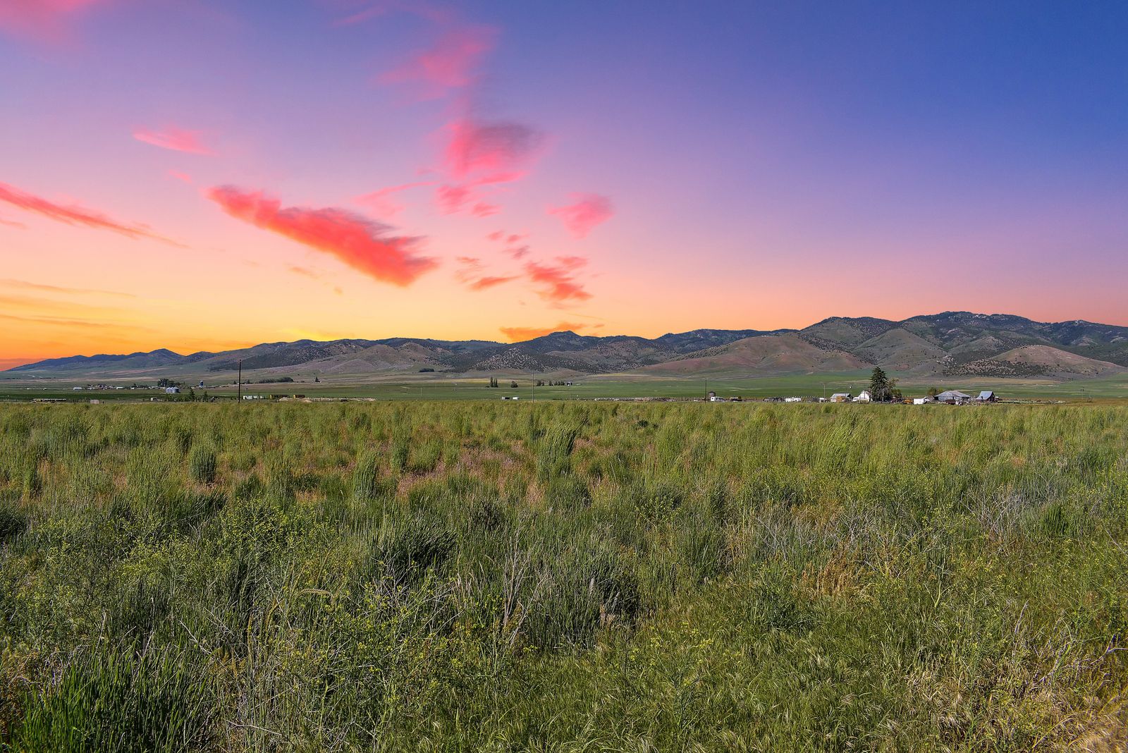 Beautiful Downey Acreage