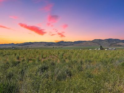 Beautiful Downey Acreage