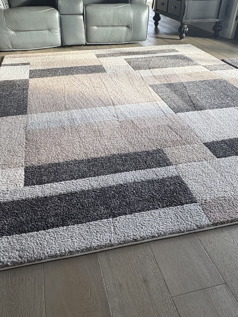 Home Decorators Collection 8x10 area rug