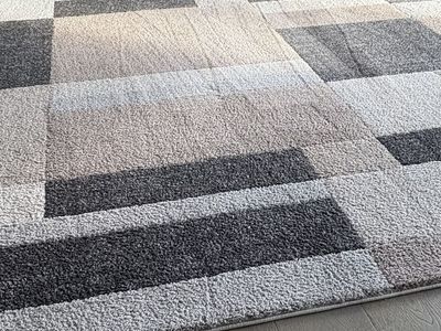 Home Decorators Collection 8x10 area rug