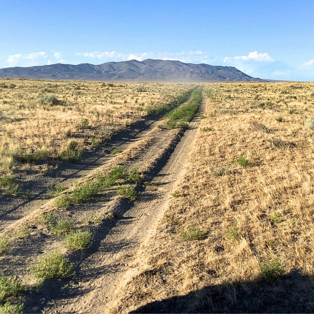 Off-Grid 40.62 Acres Near Blue Mountain! Hunt, Camp, Ride, Winnemucca, NV