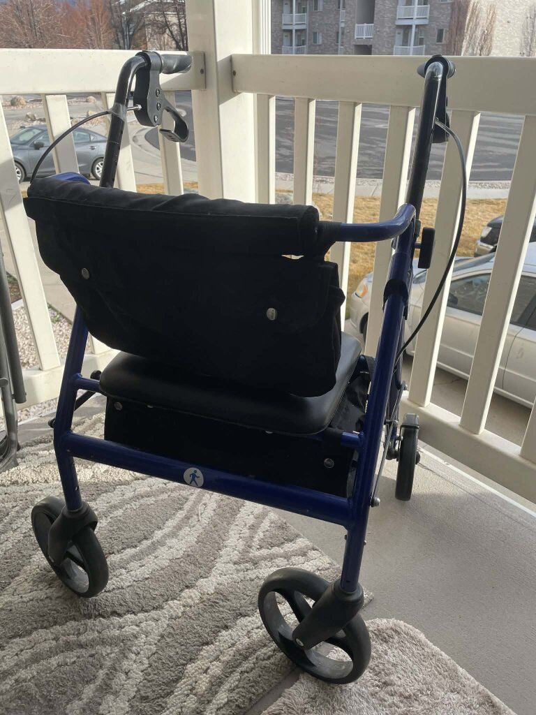 Walker by Blessreach mdl#WB-2208