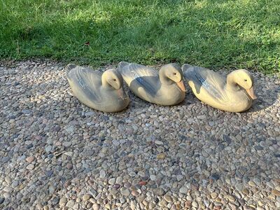 Atco Duck Decoys
