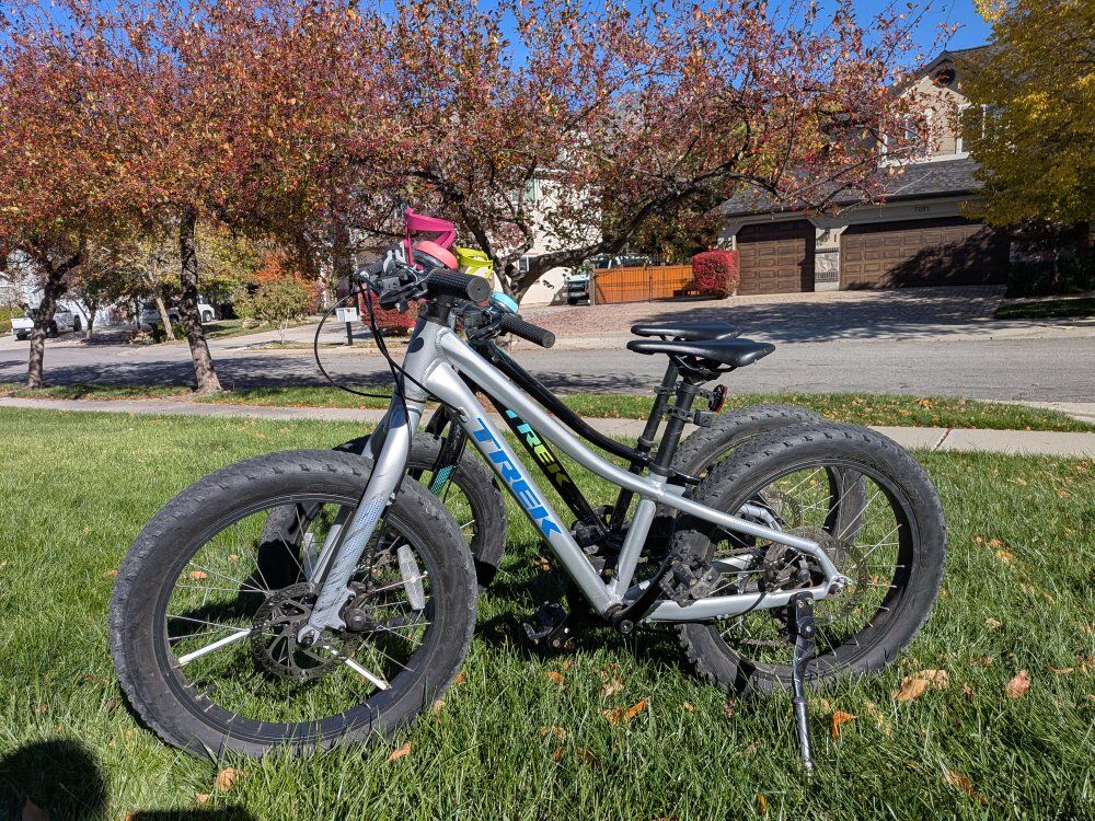 Trek Roscoe kids bike