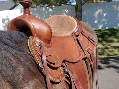 16" Wide Cashel All Around Saddle