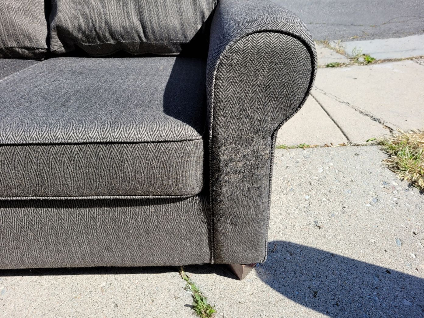 Main image 8