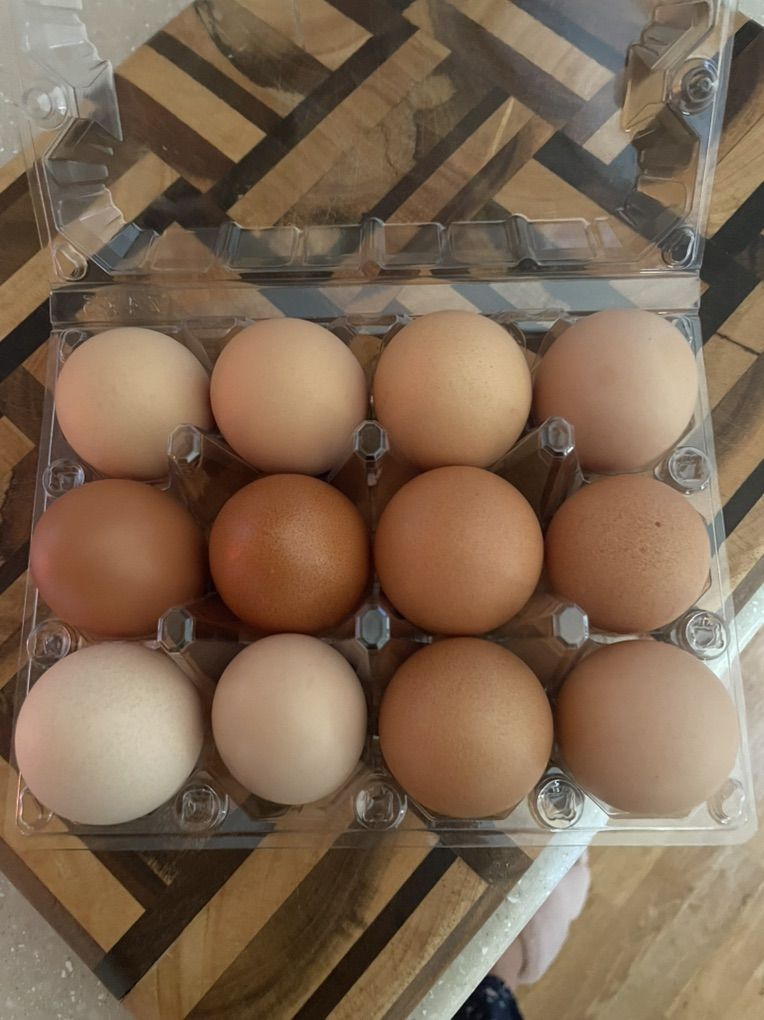 Farm Fresh  Eggs