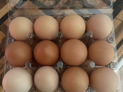 Farm Fresh Eggs