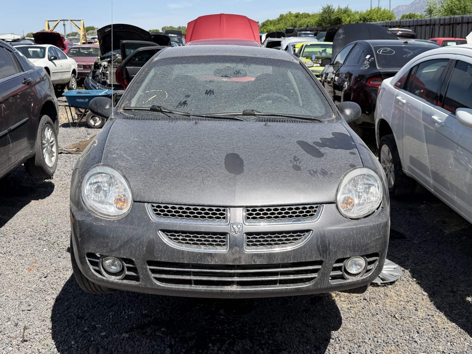 Just In! 2004 Dodge Neon Parts - UTPAP Ogden