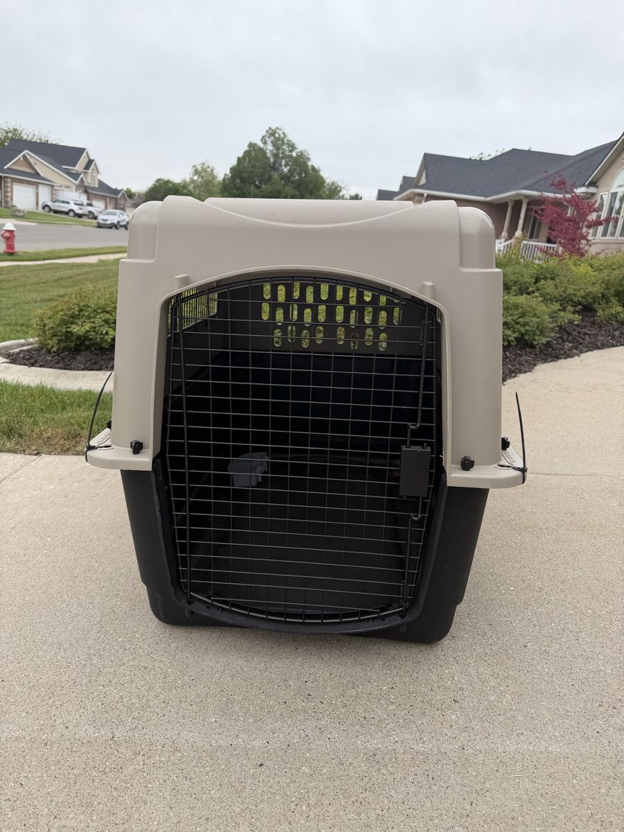Kennel