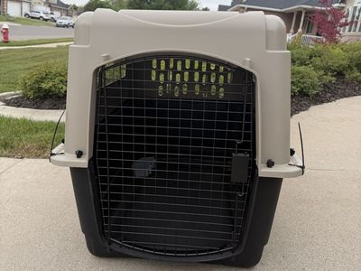 Kennel