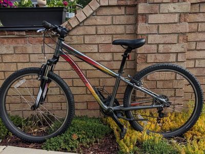 $130 Mt bike Specialized Hot Rock 24" wheels youth kids