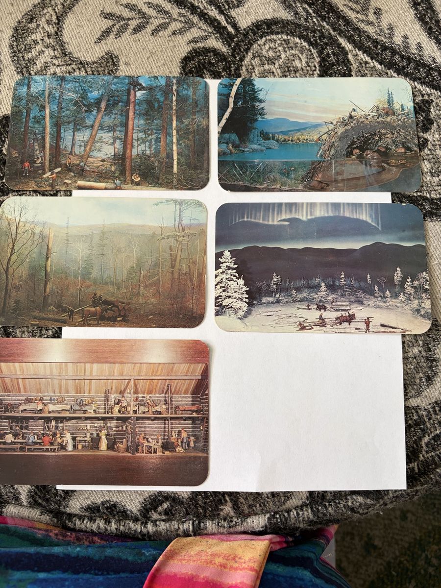Vintage Postcard Lot: Landscapes, Saloons, Dolphins, & Pin-Ups - Various Scenes