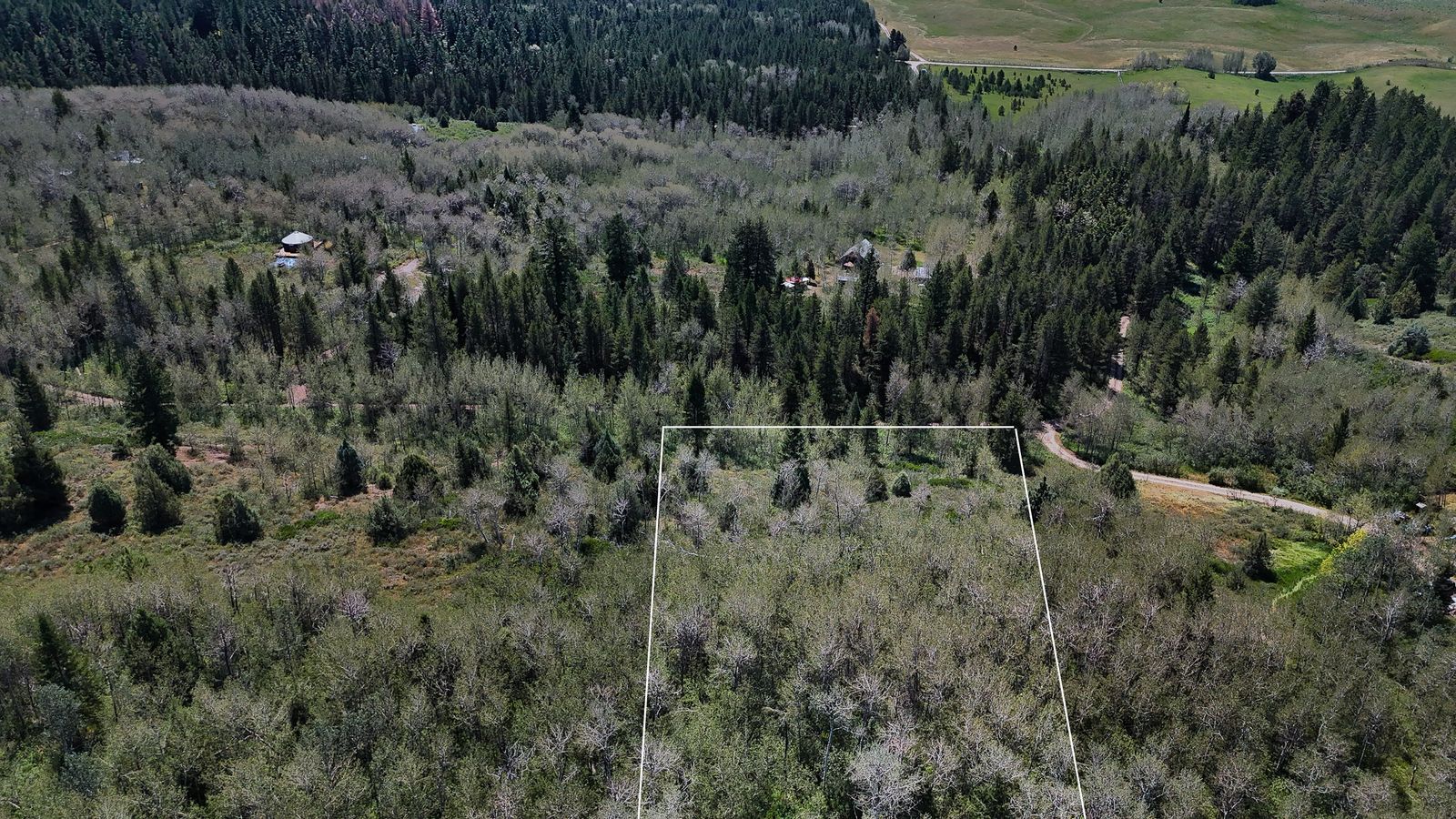 Main image 6