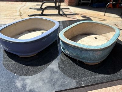 Ceramic Bonsai Pots