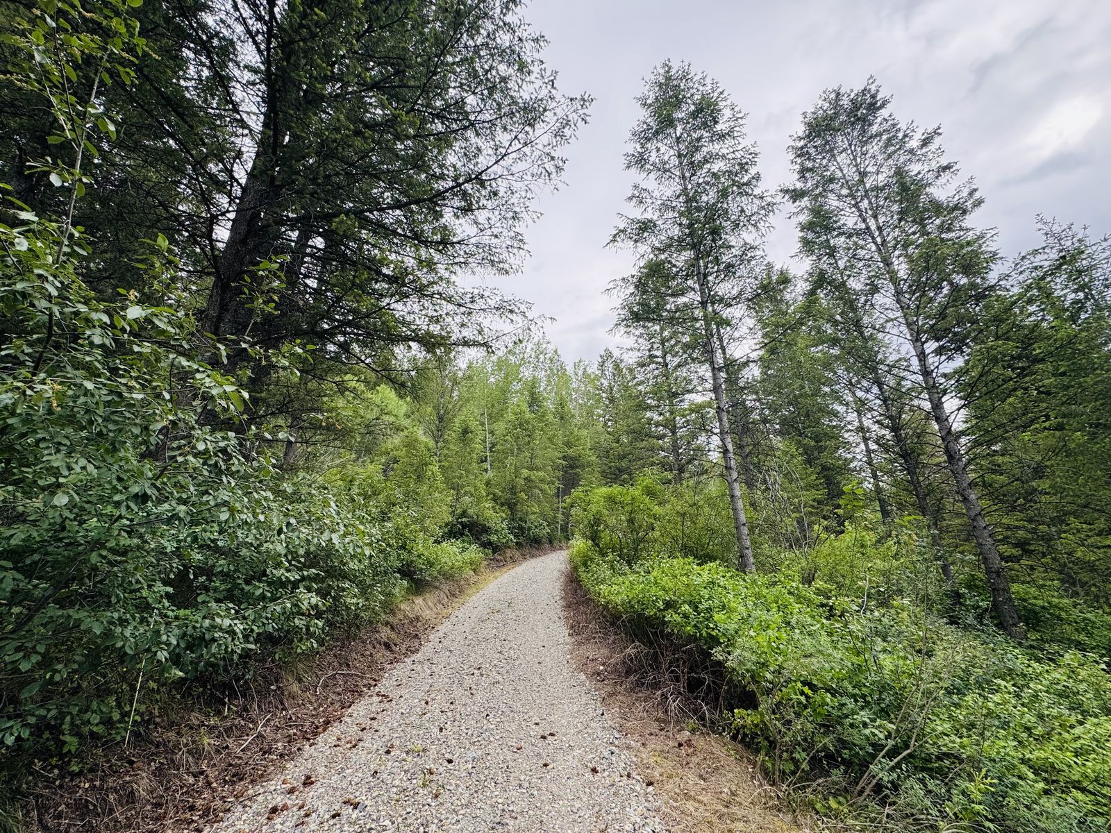 Main image 10