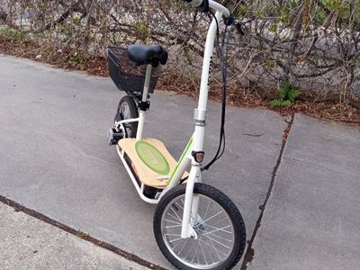 Razor 36v Echosmart Metro electric scooter