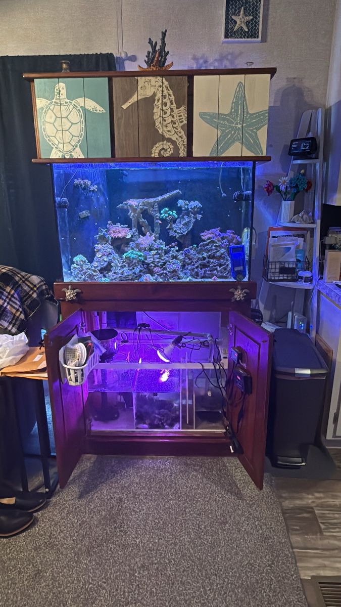 65 gallon reef tank husband passed need to sell 