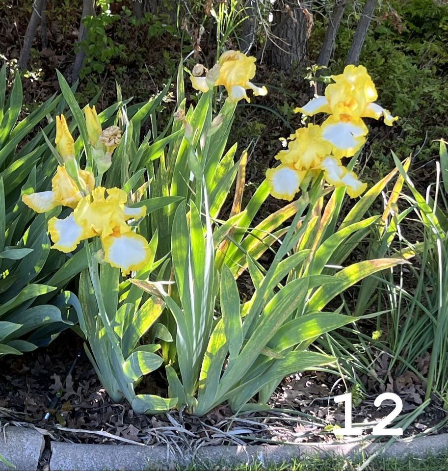 Main image 13