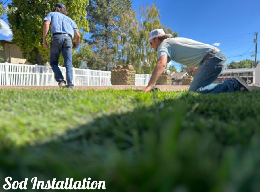 Sod Install And Delevery