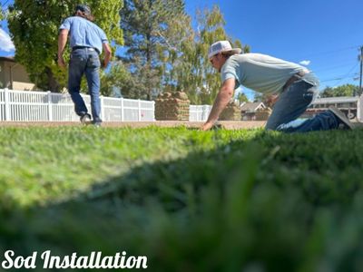 Sod Install And Delevery