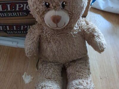 Build a bear little cub brownie stuffed bear