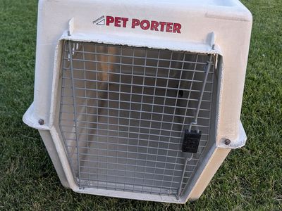 DOG CRATES, TWO LARGE AND ONE MEDIUM, .......... LARGE $5O.00,........ MEDIUM $40.00........REASONABLE OFFERS CONSIDERED