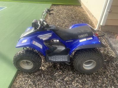 2003 Yamaha Breeze