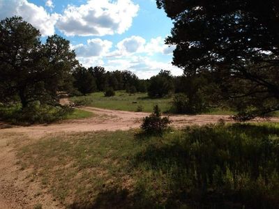 Quite RV camping or build a house
4 Rainbow Ct, Ramah, NM 87321 4.8 acre nice no restrictions has power and water