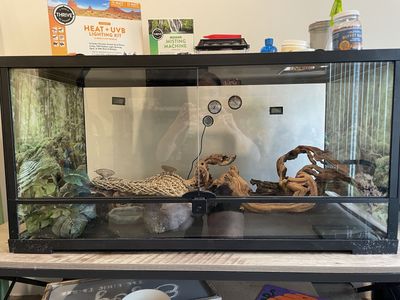 Reptile Encloser And Supplies