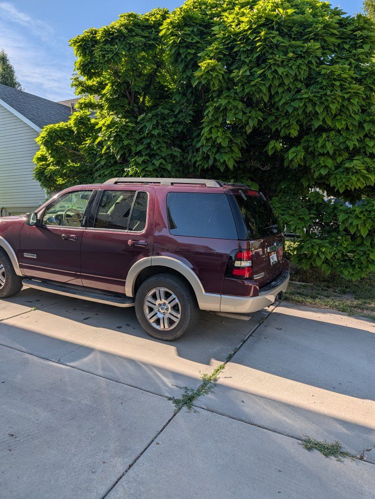 Main image 6