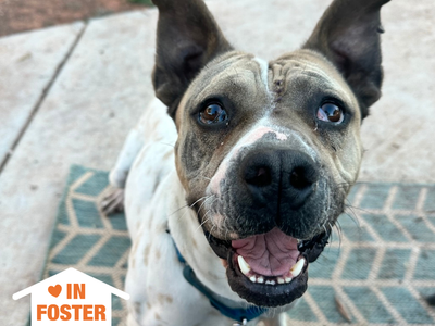 Hello my name is Butch