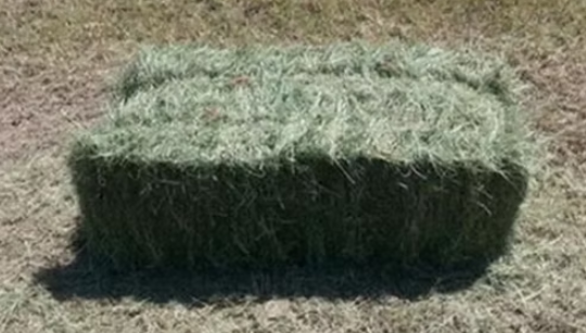 Three Way hay bale, two string, first cut