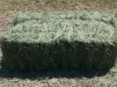 Three Way hay bale, two string, first cut