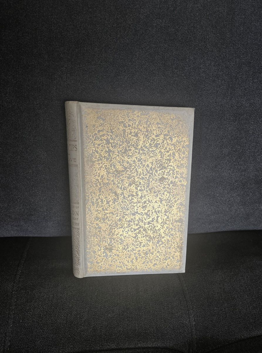 Main image 11