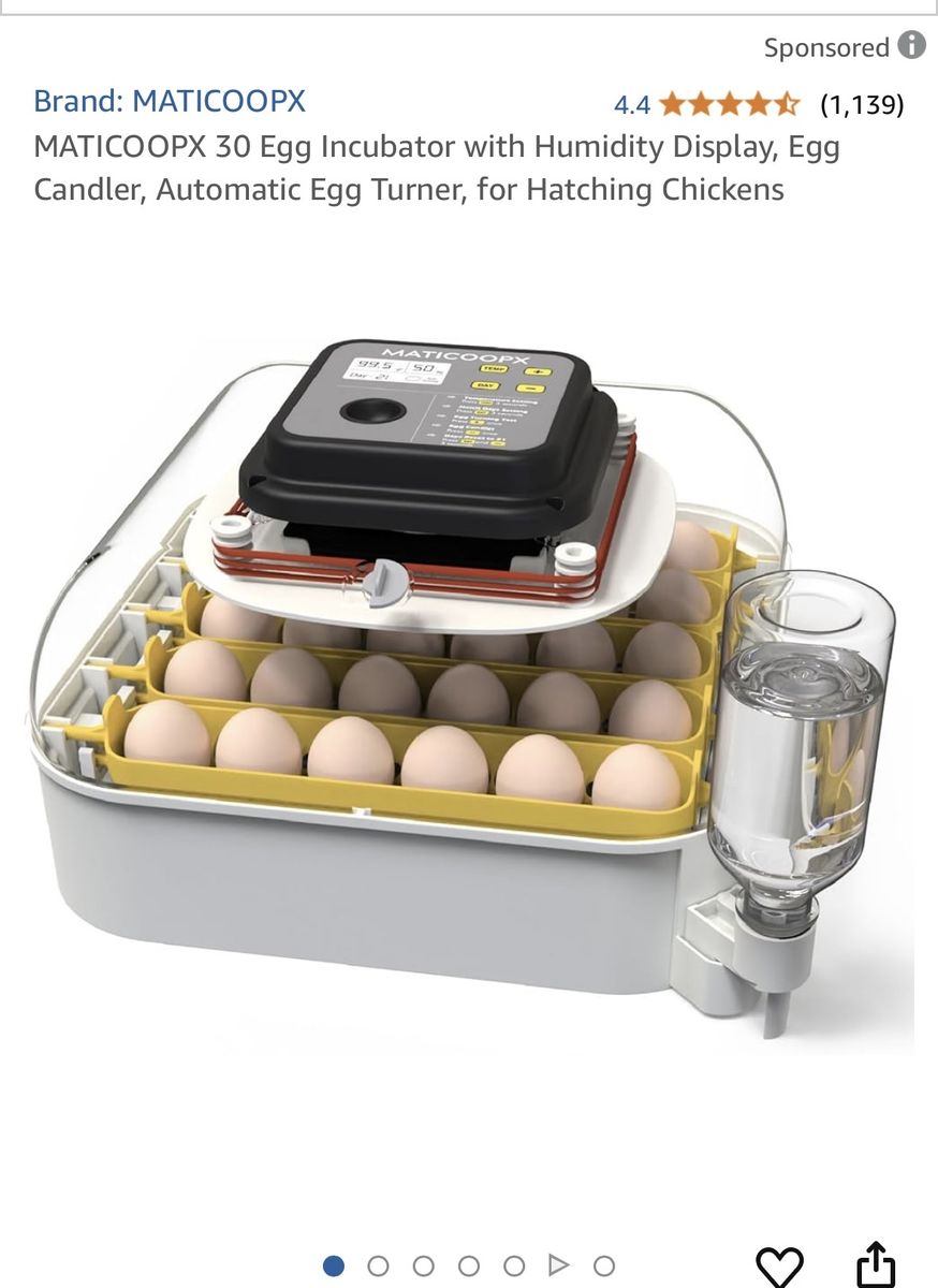 30 egg incubator