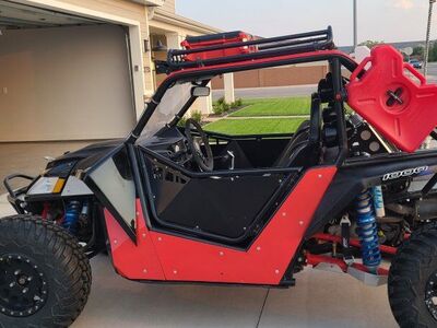 2014 Arctic Cat Wild Cat 1000 X