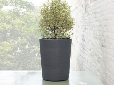 DEROMA BLACK PLANTER 21”x 17” TALL PLANTER