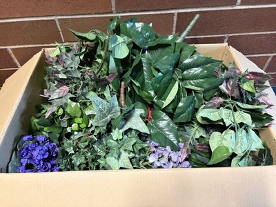 Assorted Artificial Greenery Vines Leaves for Decor Crafts Events