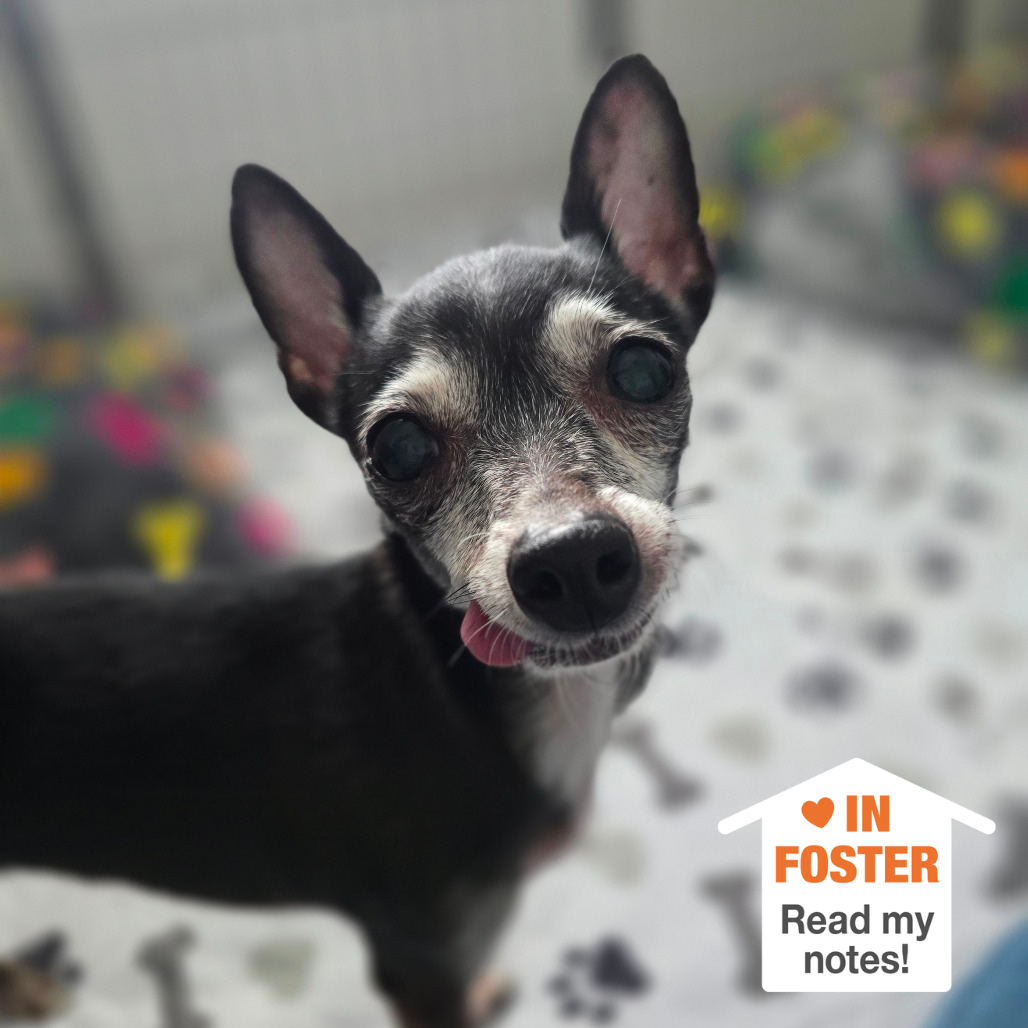 Hello my name is Mabel