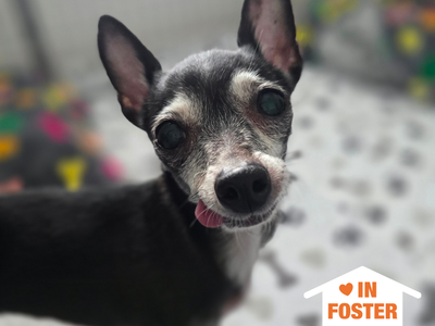 Hello my name is Mabel