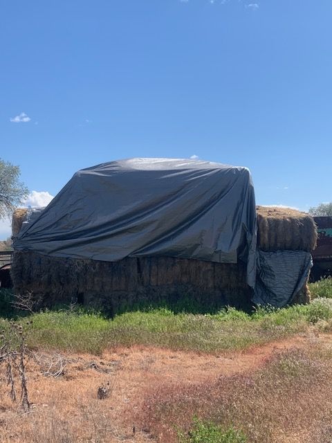 GRASS HAY 3 X 4 X 8 FT BALES $200 PER BALE