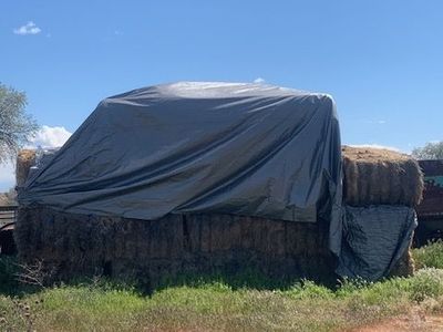 GRASS HAY 3 X 4 X 8 FT BALES $200 PER BALE