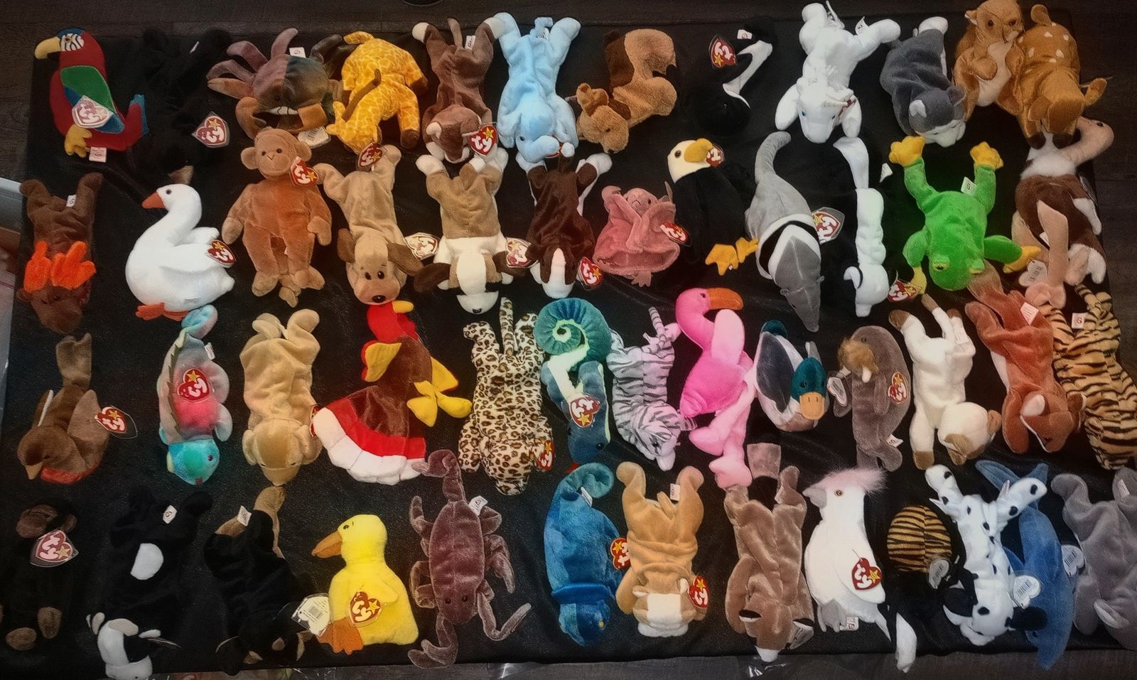 Rare Beanie Baby Collection