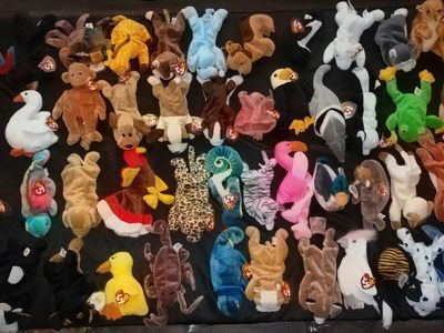 Rare Beanie Baby Collection